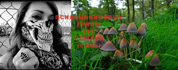 марки lsd Козловка
