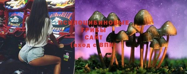 а пвп мука Козельск