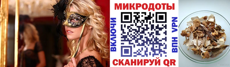 гидра ONION  наркота  Бердск  Псилоцибиновые грибы Psilocybe 